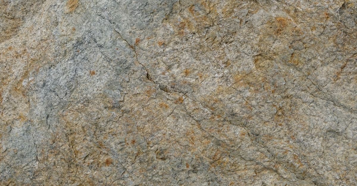 租房合同检查全景解读：问题根源与破局之道